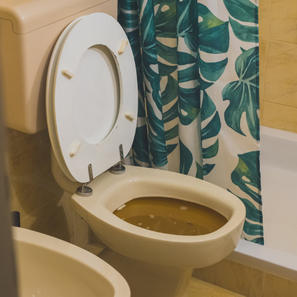A blocked toilet that is filled with brow water